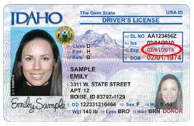Nj drivers license fees